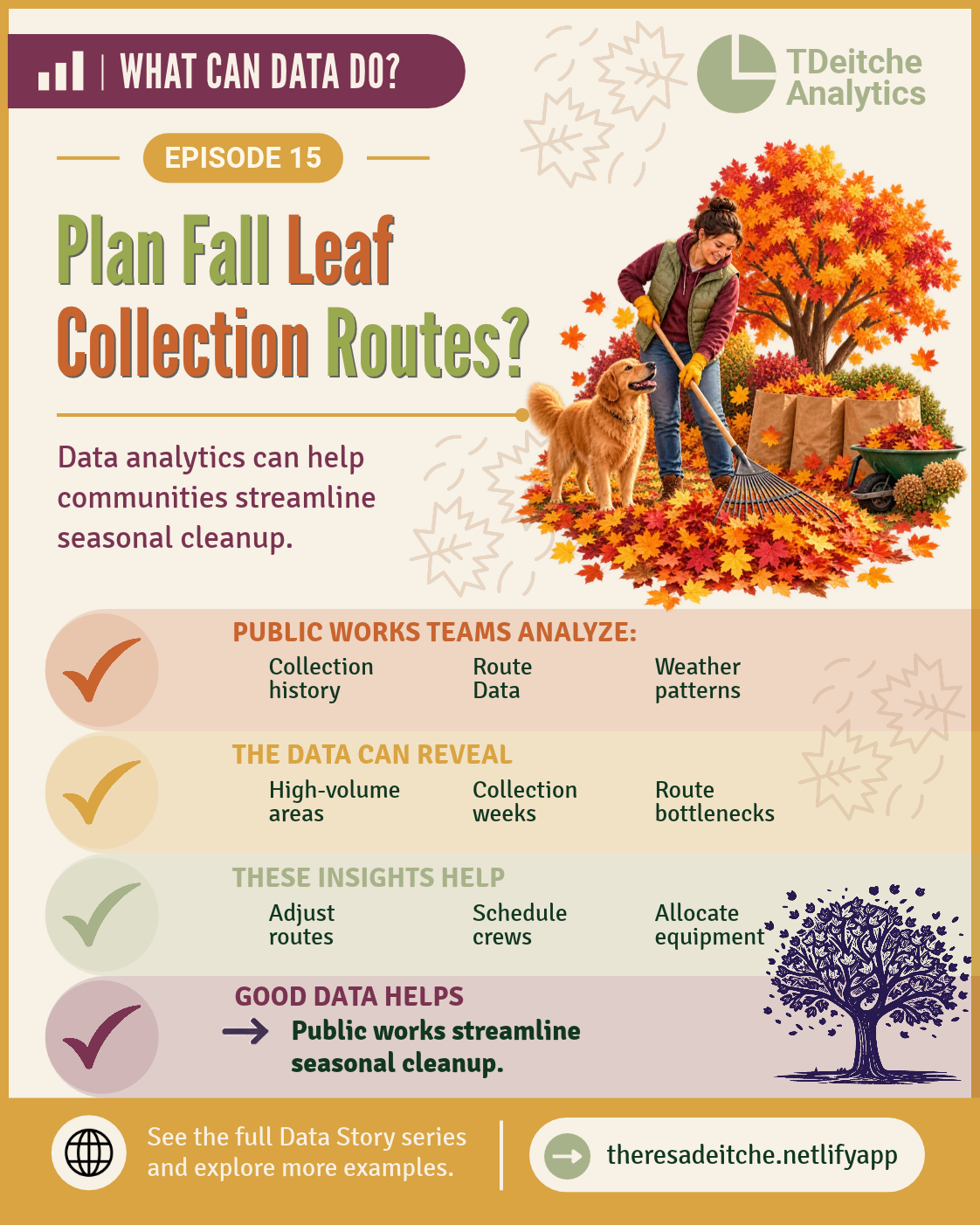 What Can Data Do Episode 15 cover